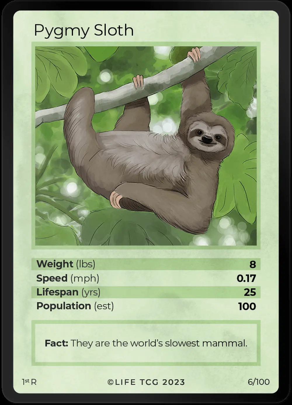 Pygmy Sloth card front