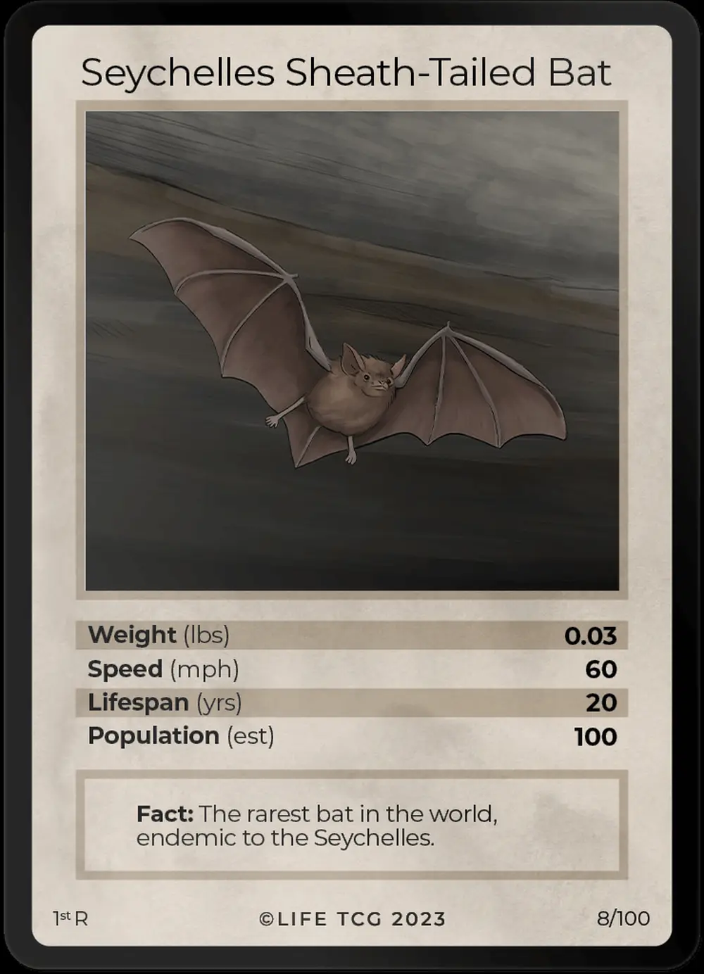 Seychelles Sheath-Tailed Bat card front