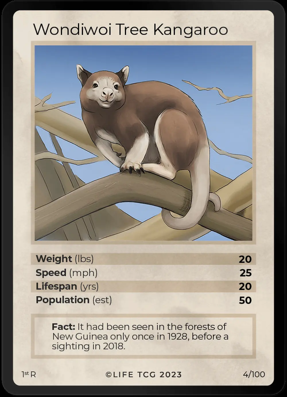 Wondiwoi Tree Kangaroo card front