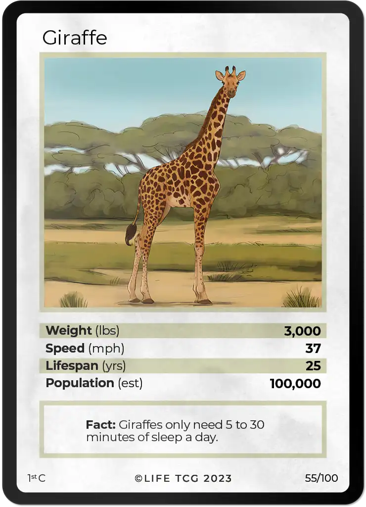 Giraffe card front