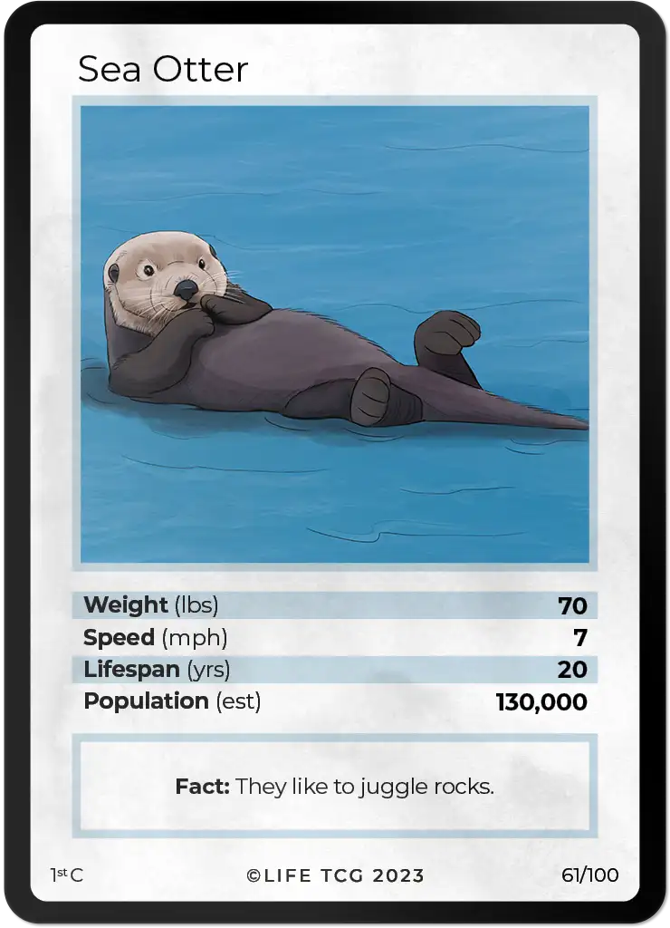 Sea Otter card front