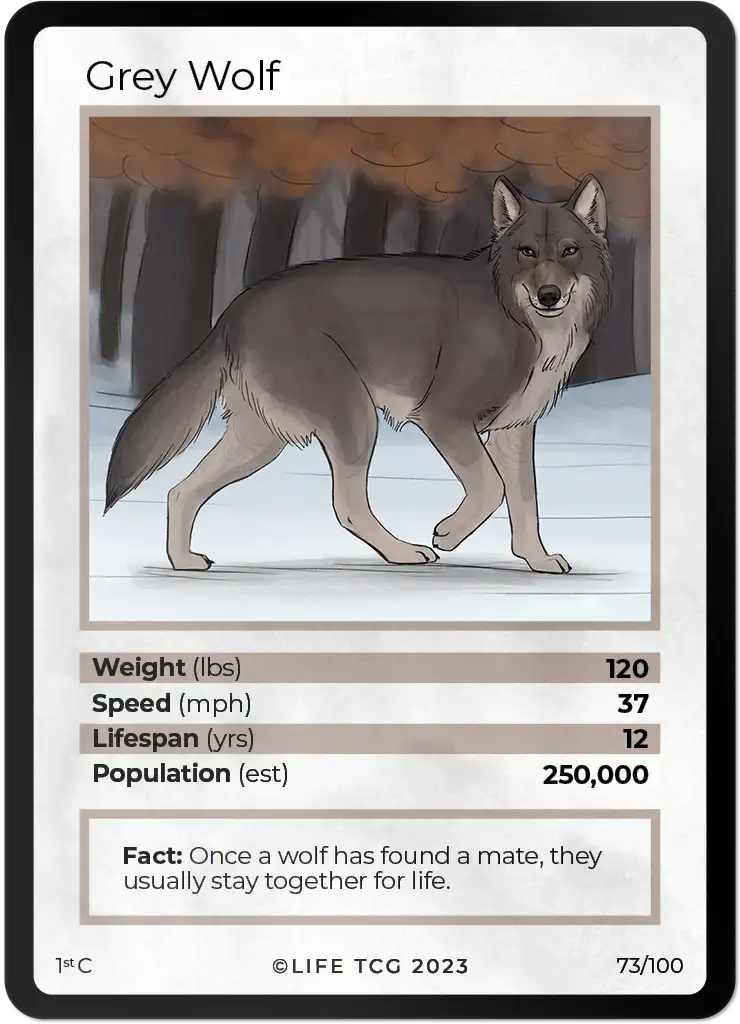 Grey Wolf card front