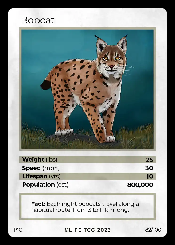 Bobcat card front