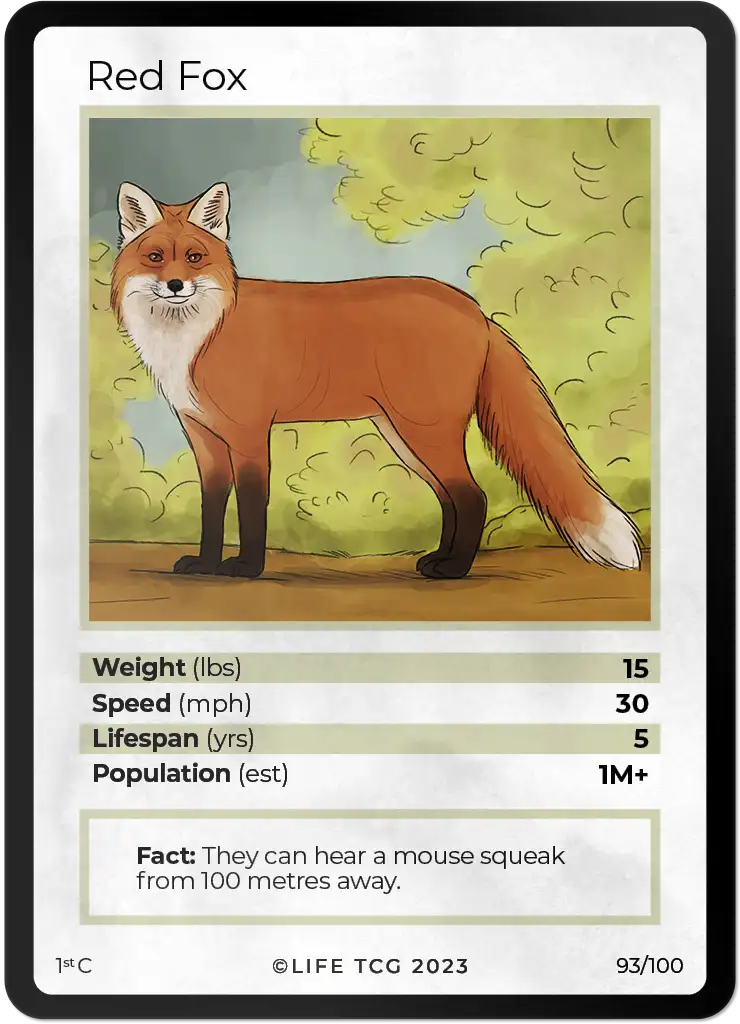 Red Fox card front