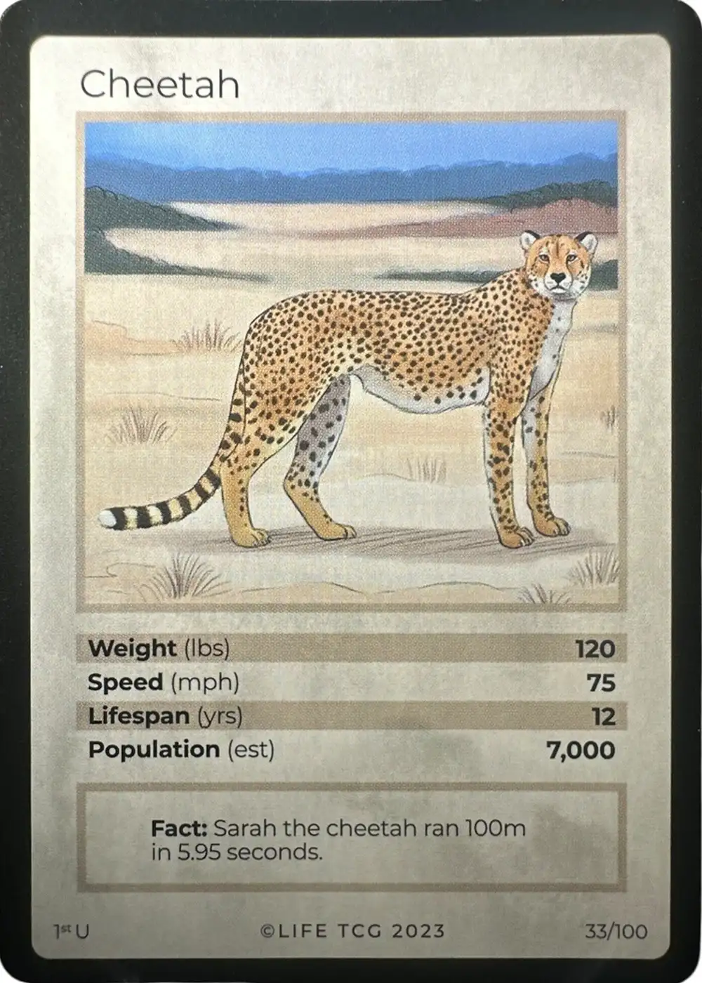 Cheetah card front