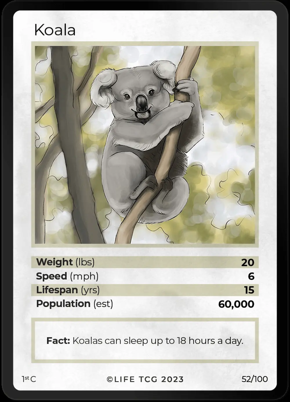 Koala card front