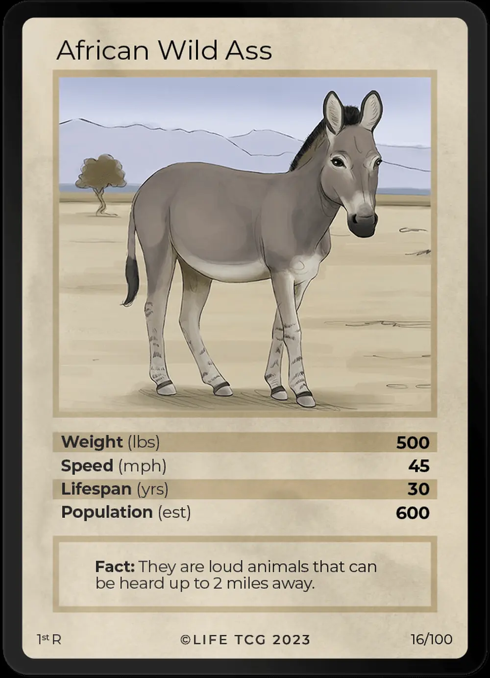 African Wild Ass card front