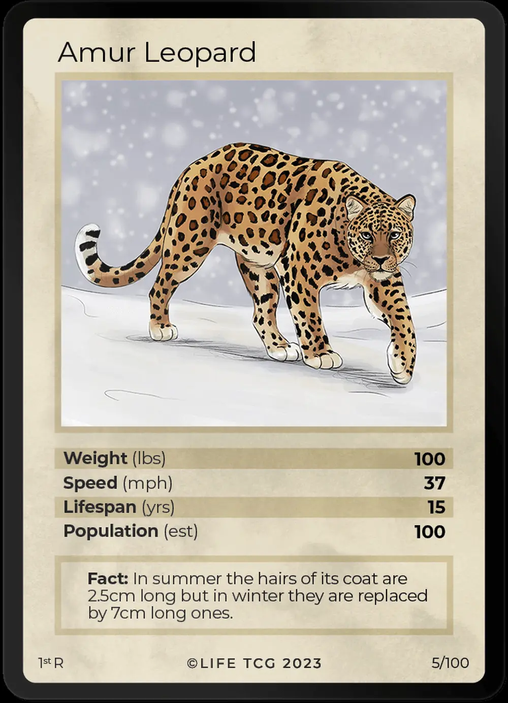Amur Leopard card front