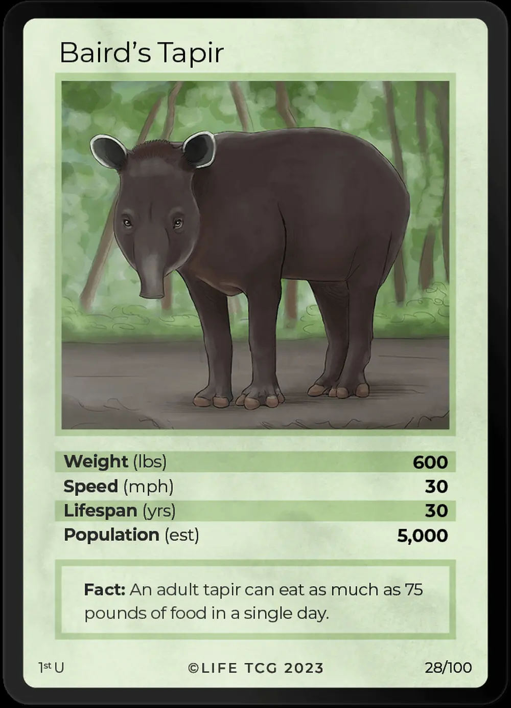Baird's Tapir card front