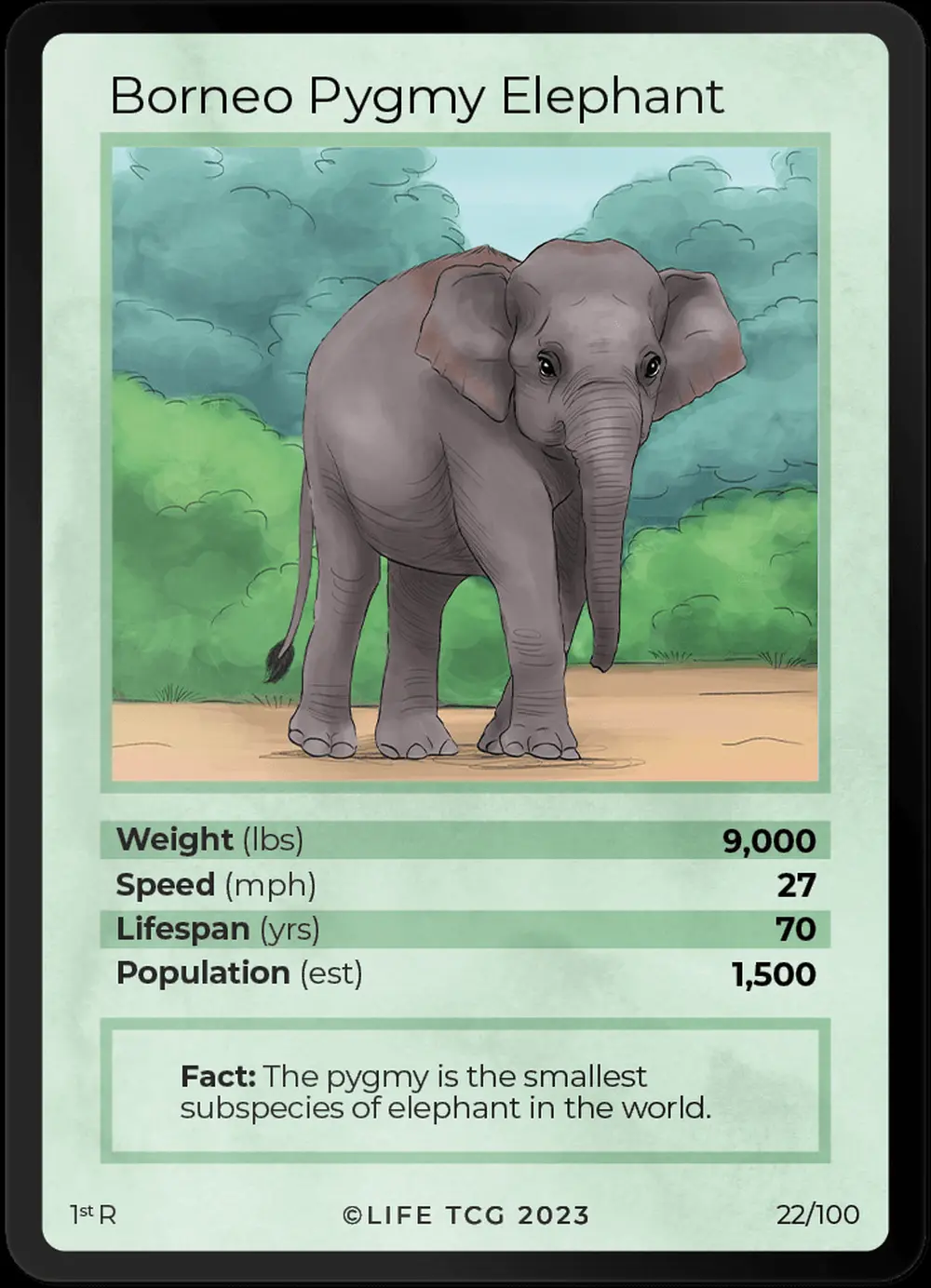 Borneo Pygmy Elephant card front
