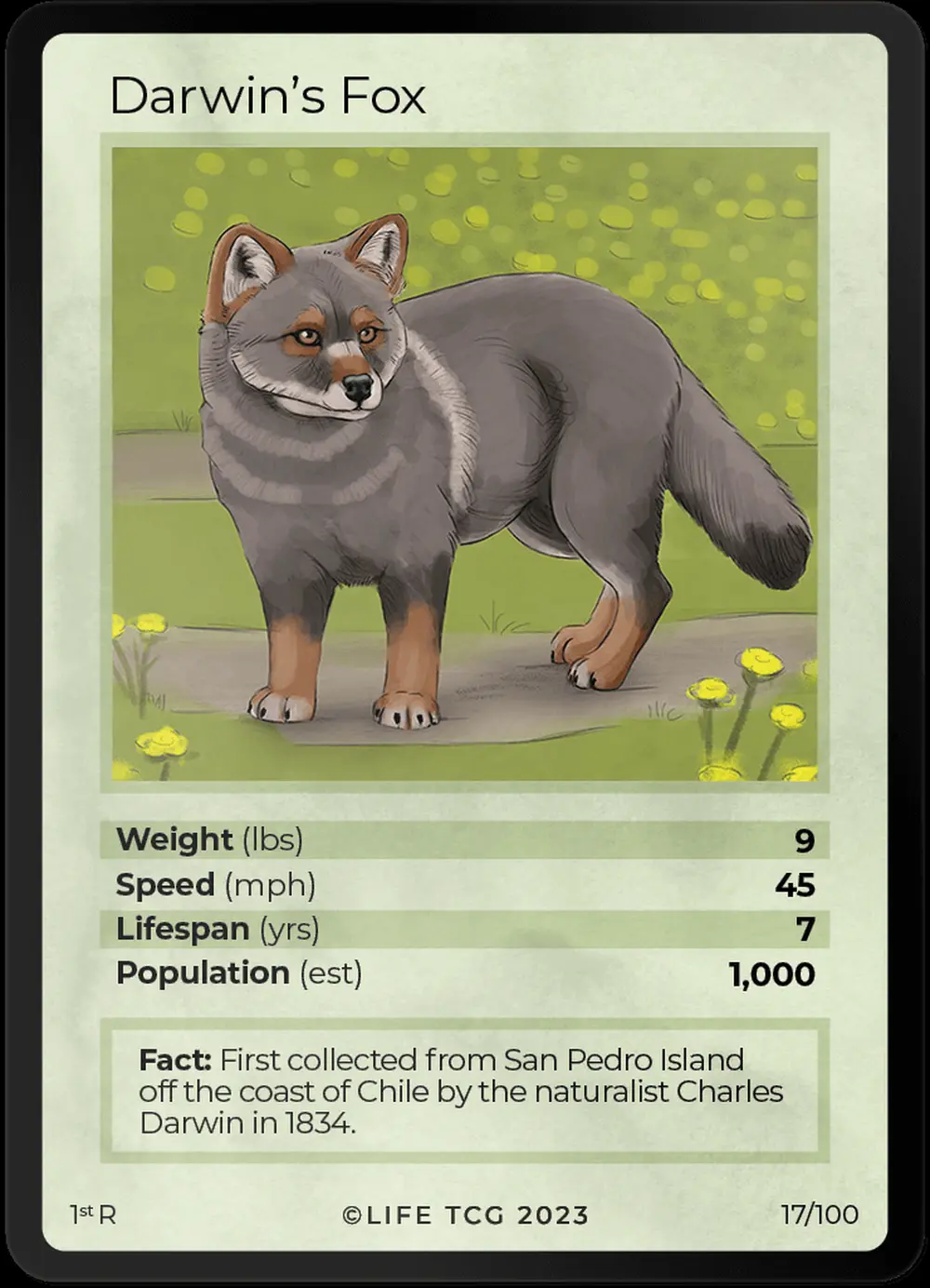 Darwin's Fox card front
