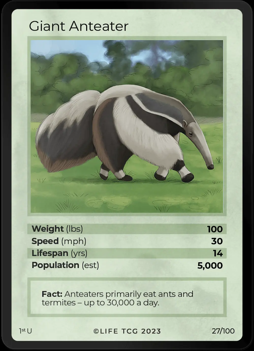 Giant Anteater card front