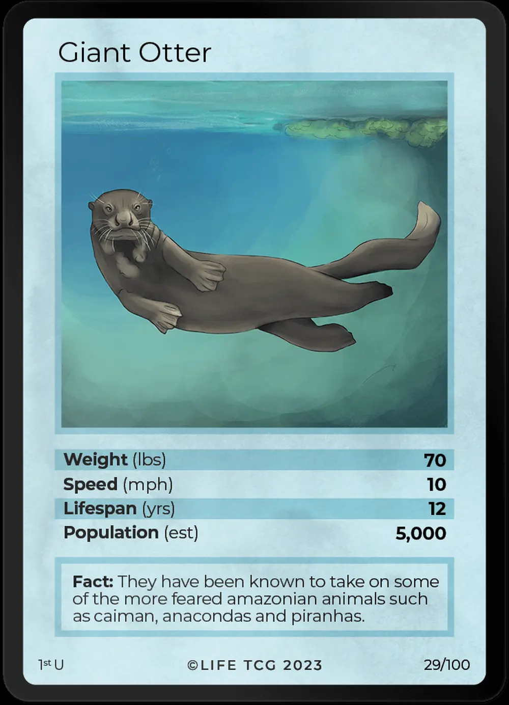 Giant Otter card front