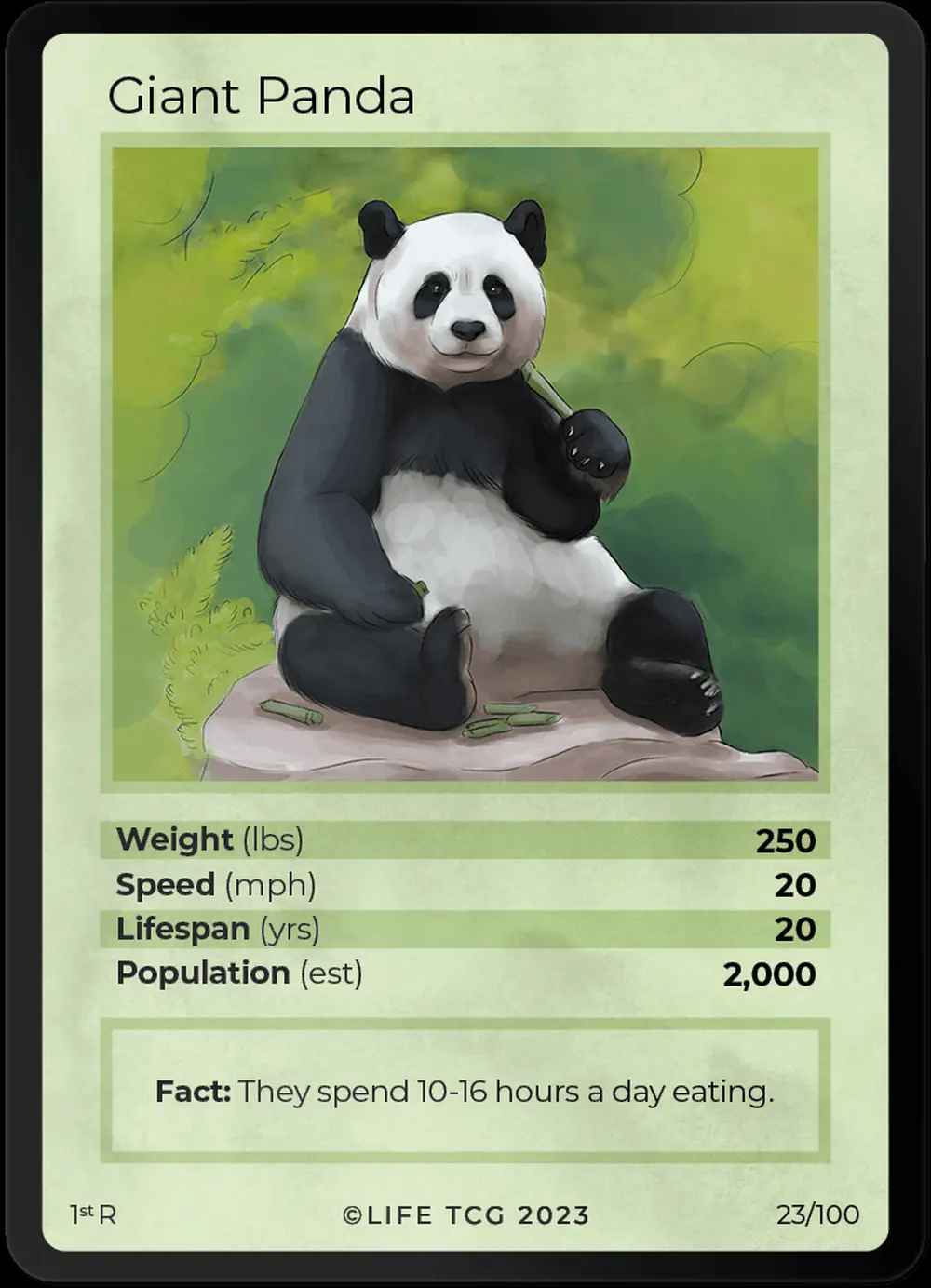 Giant Panda card front