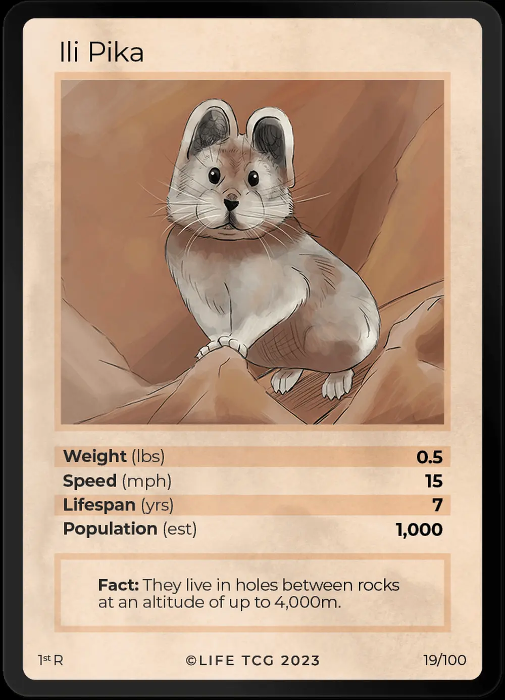 Ili Pika card front