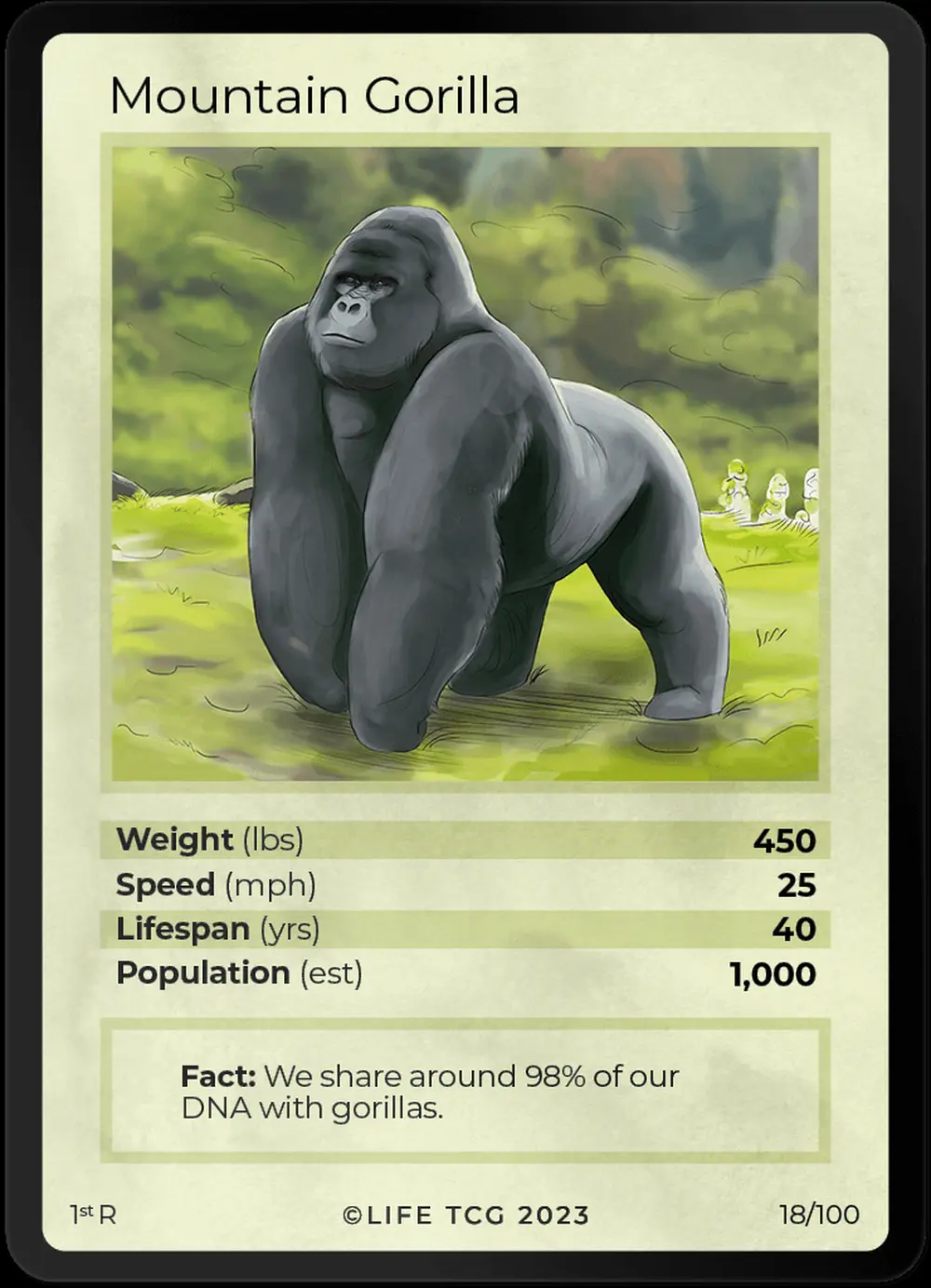 Mountain Gorilla card front