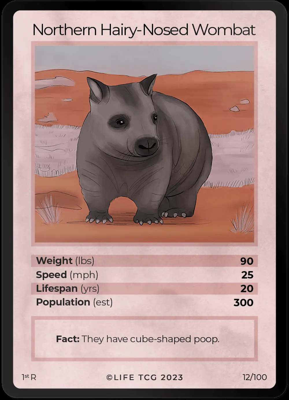 Northern Hairy-Nosed Wombat card front