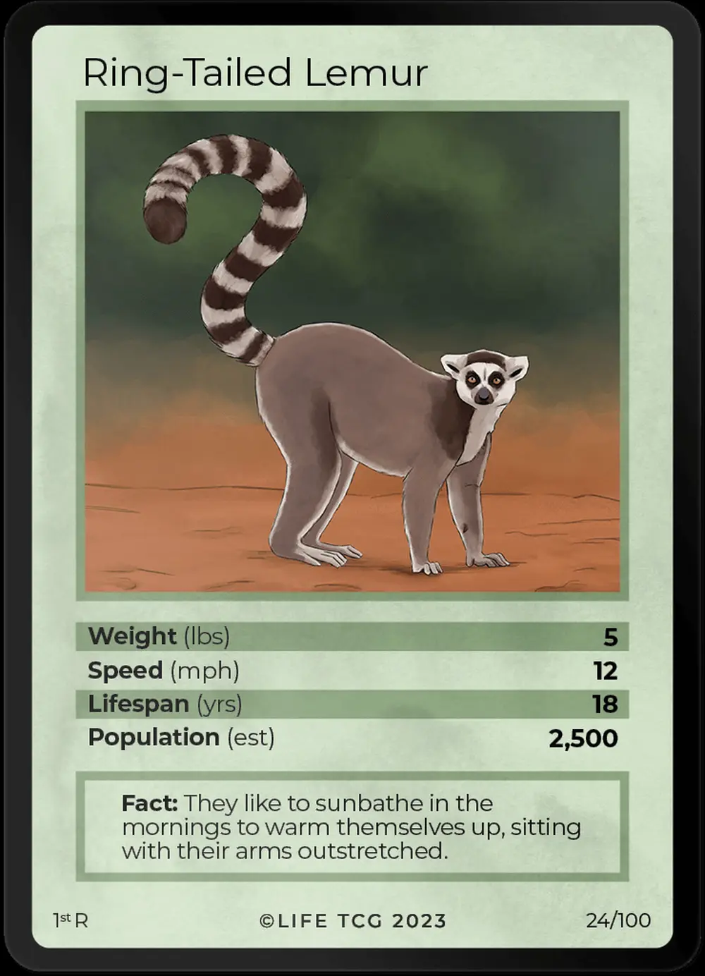 Ring-Tailed Lemur card front