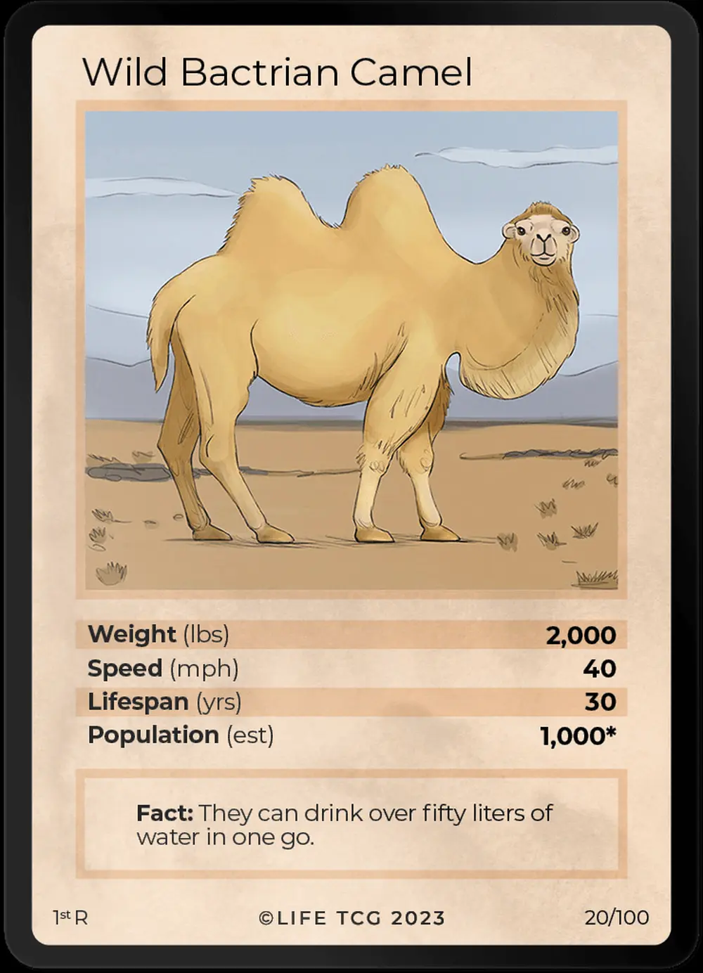 Wild Bactrian Camel card front
