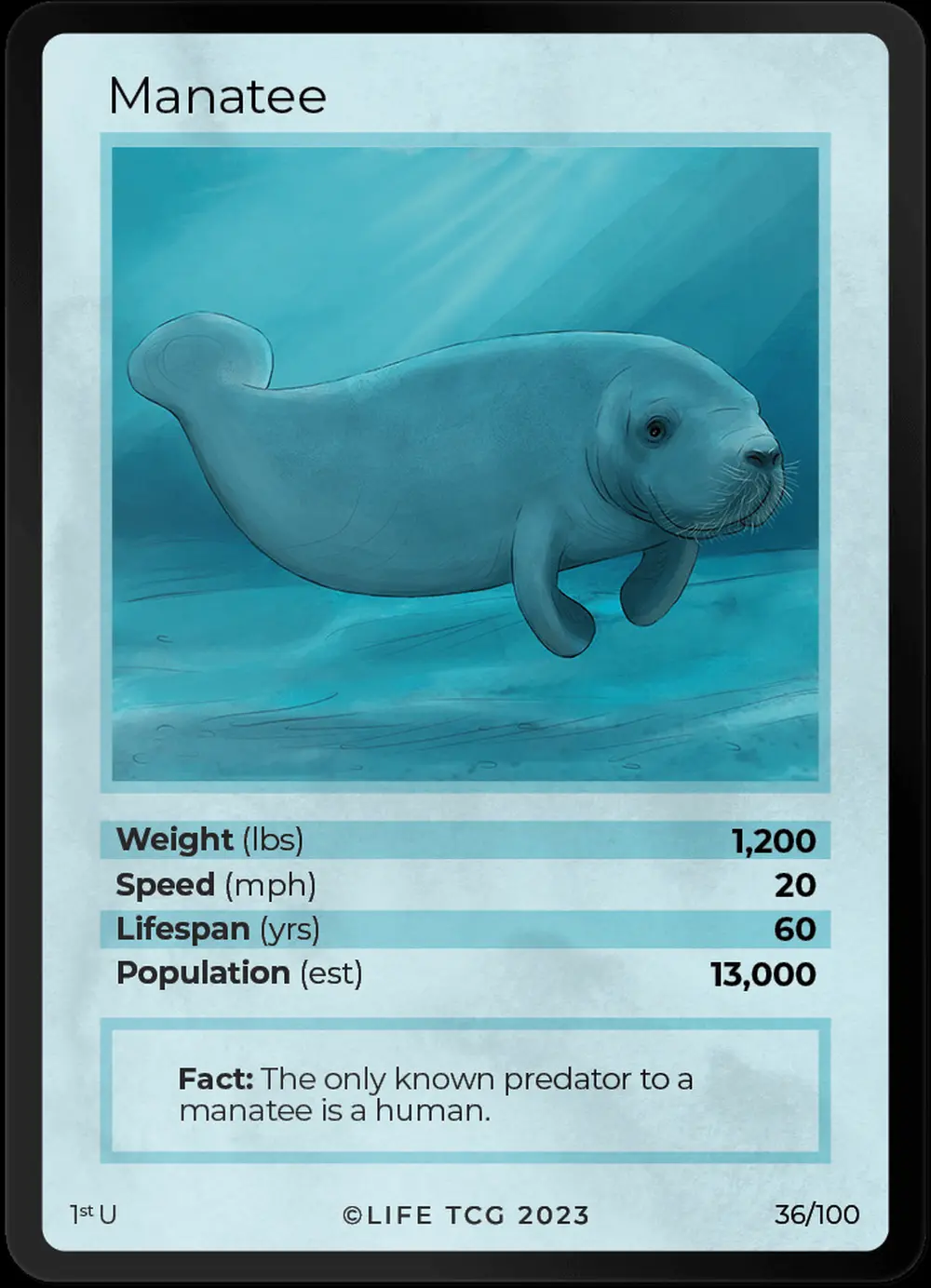 Manatee card front