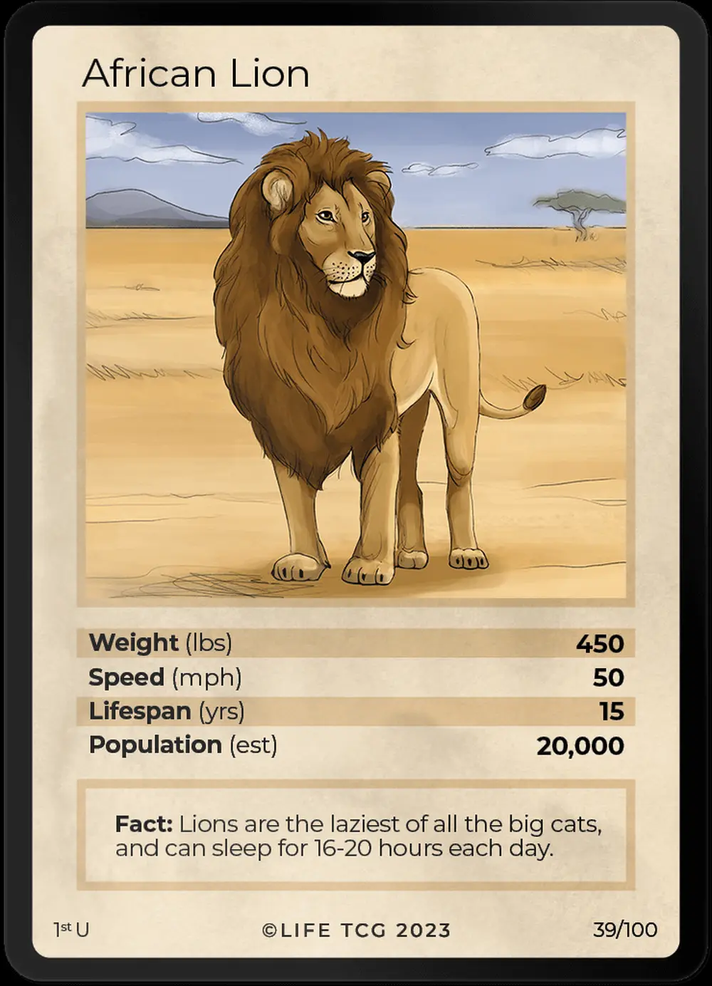 African Lion card front