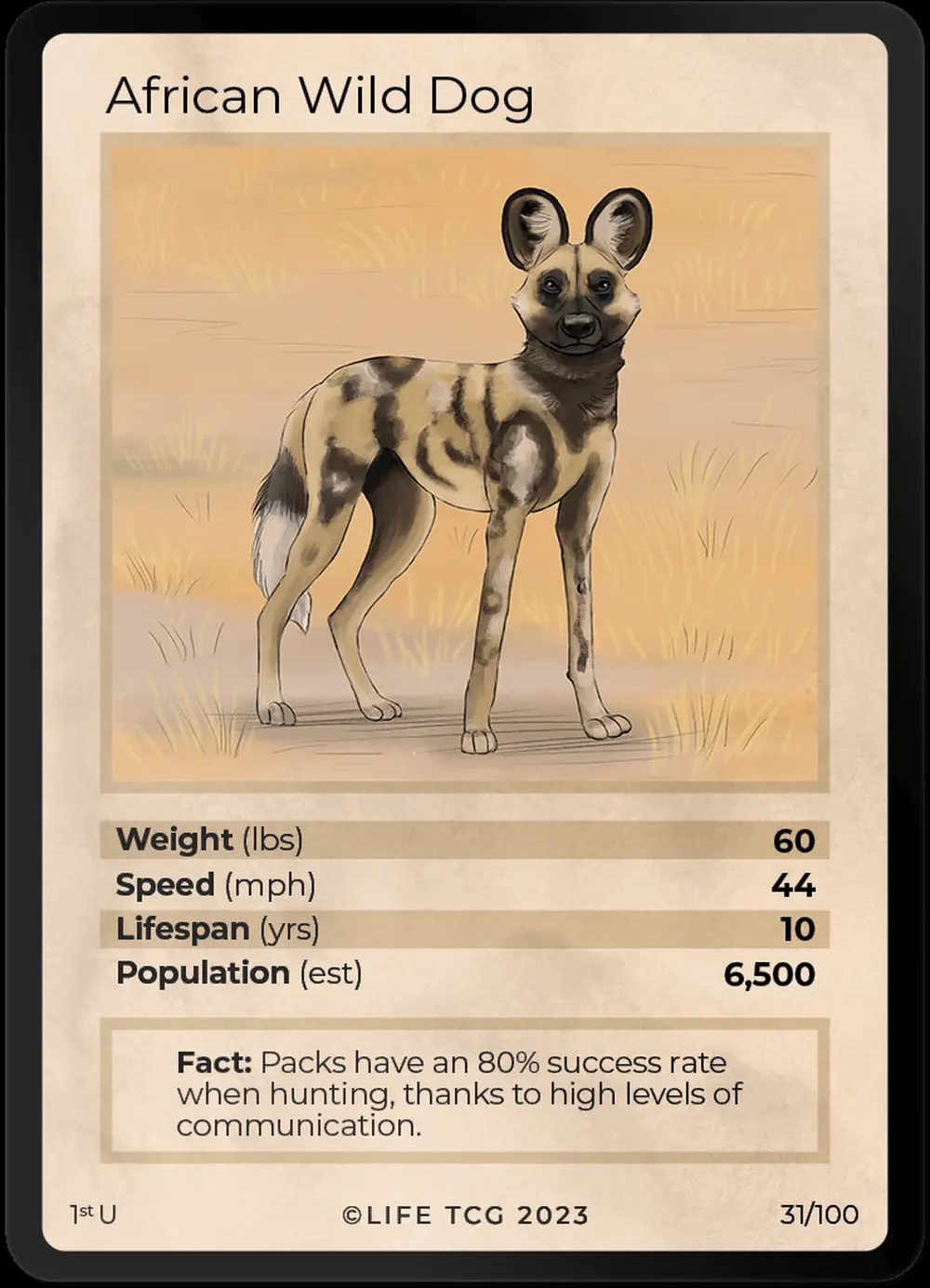 African Wild Dog card front