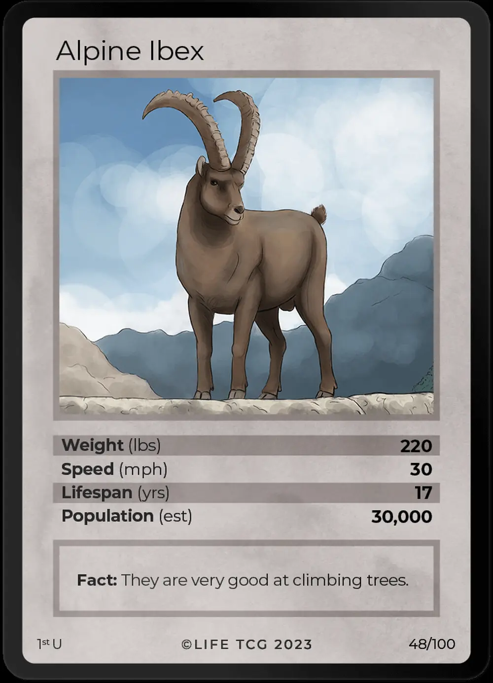 Alpine Ibex card front