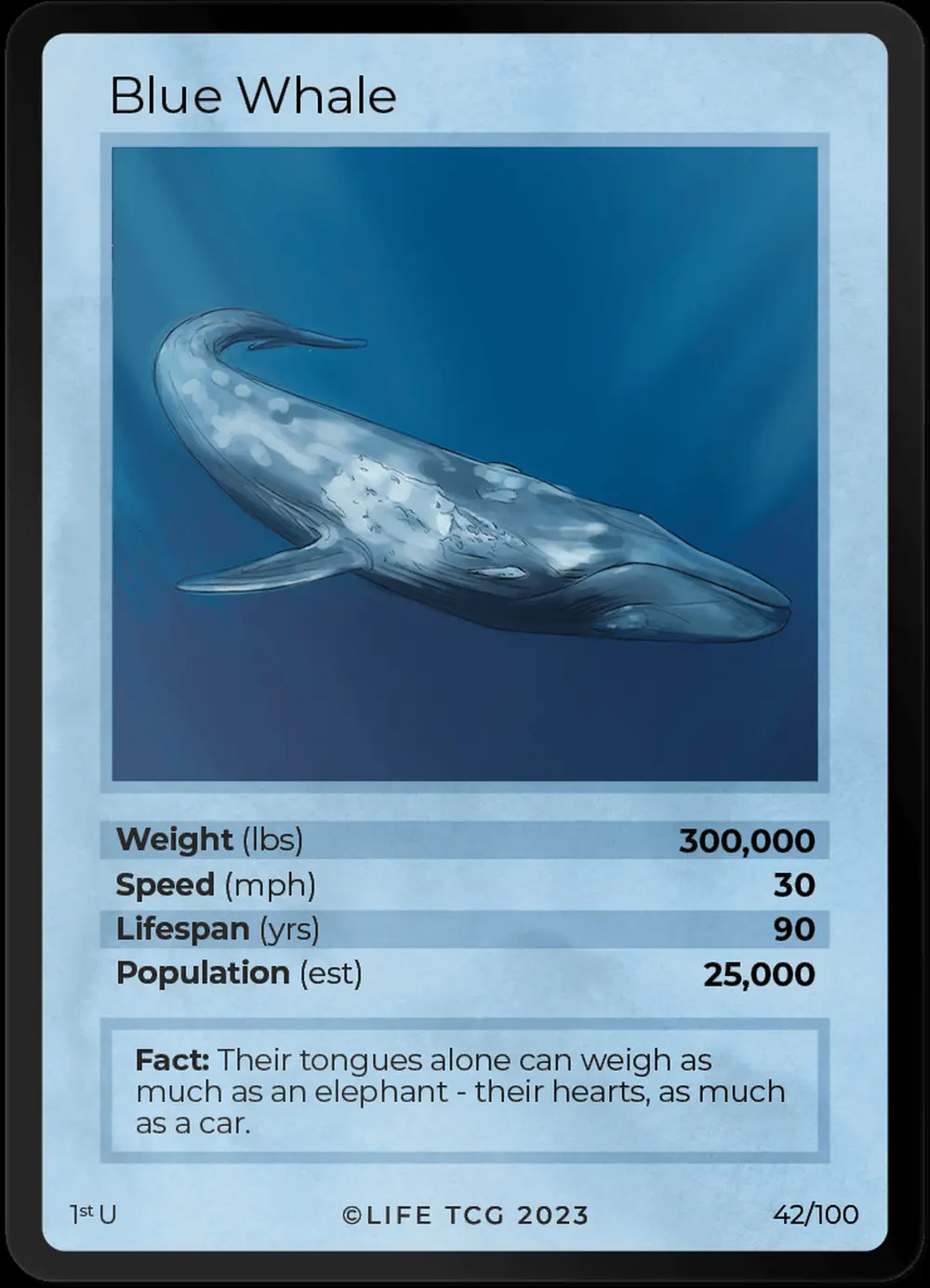 Blue Whale card front