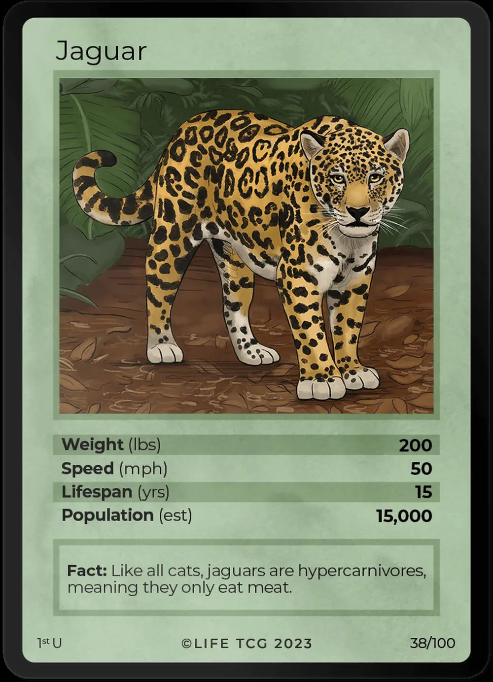Jaguar card front
