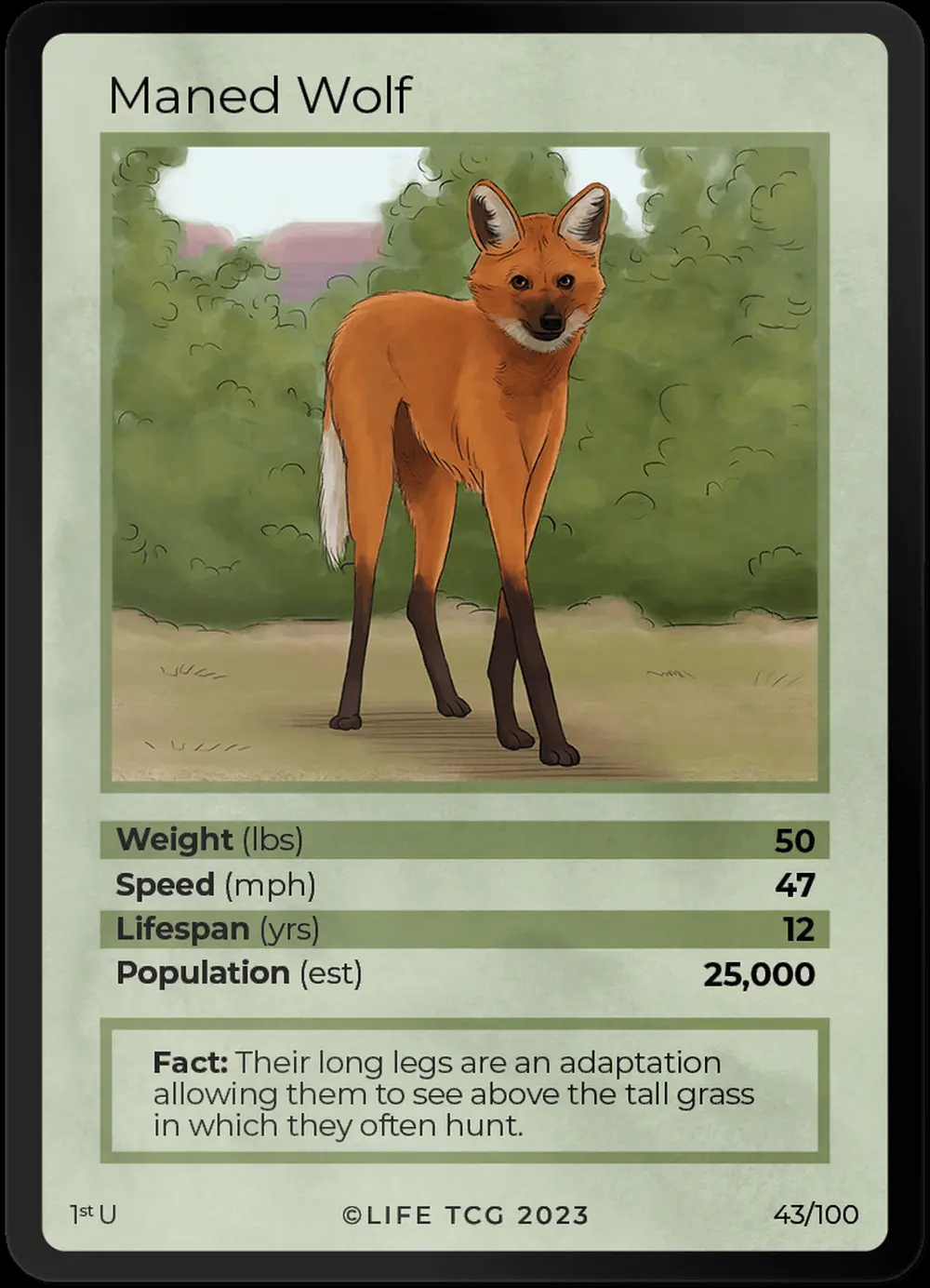Maned Wolf card front