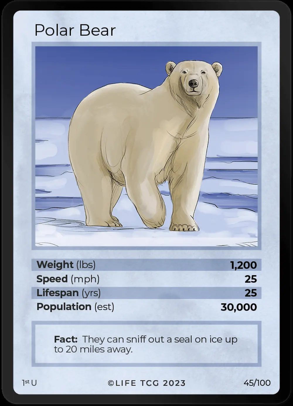 Polar Bear card front