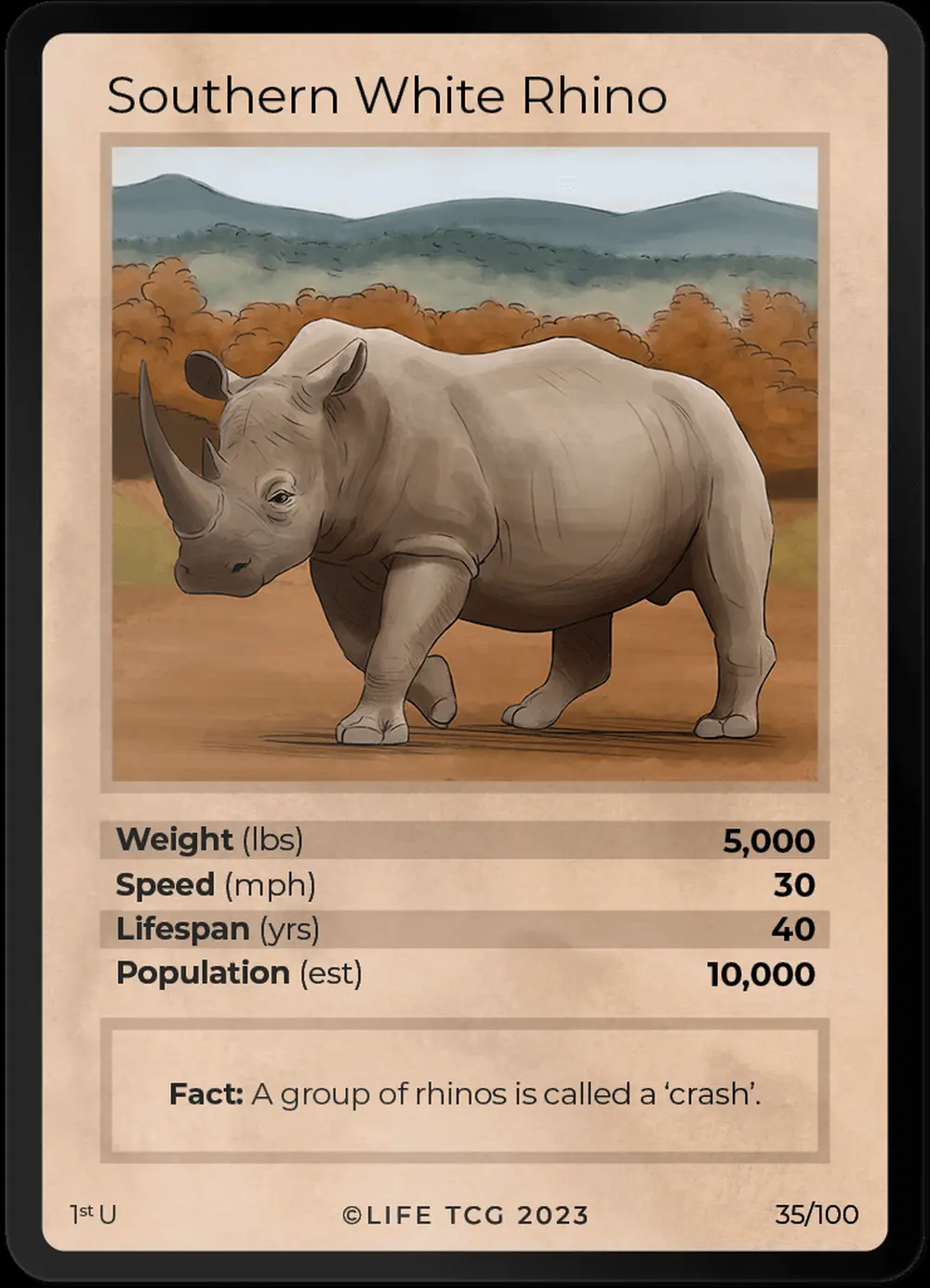 Southern White Rhino card front