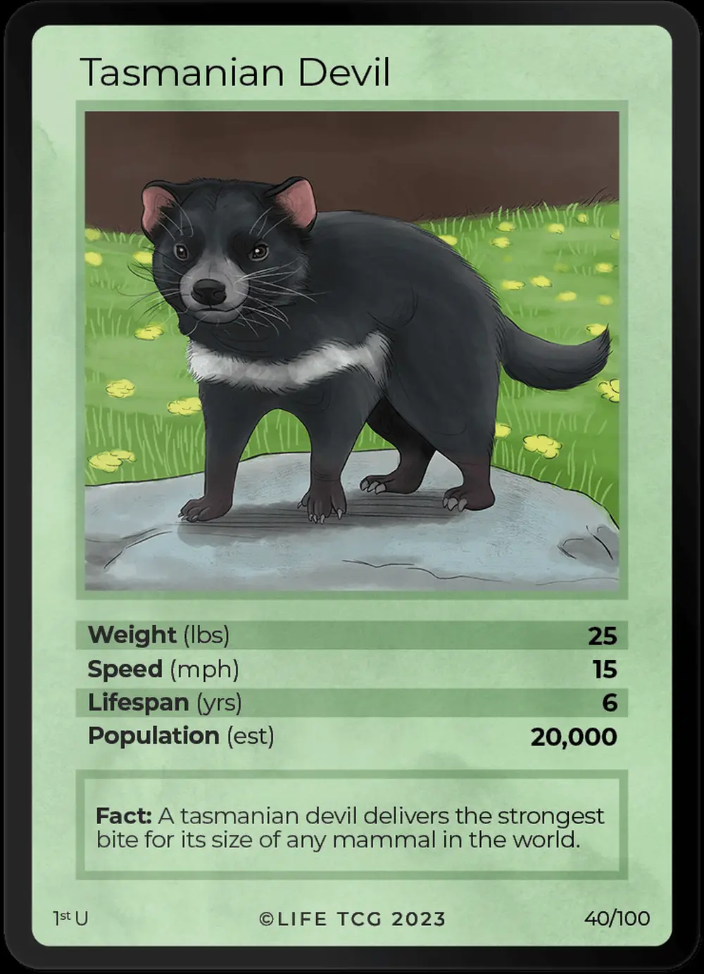 Tasmanian Devil card front