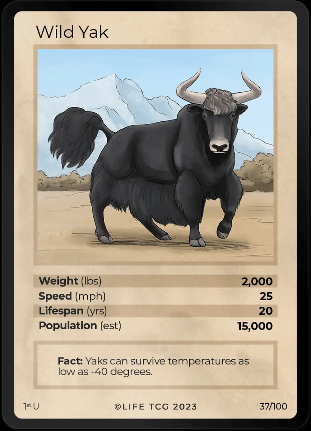 Wild Yak card front