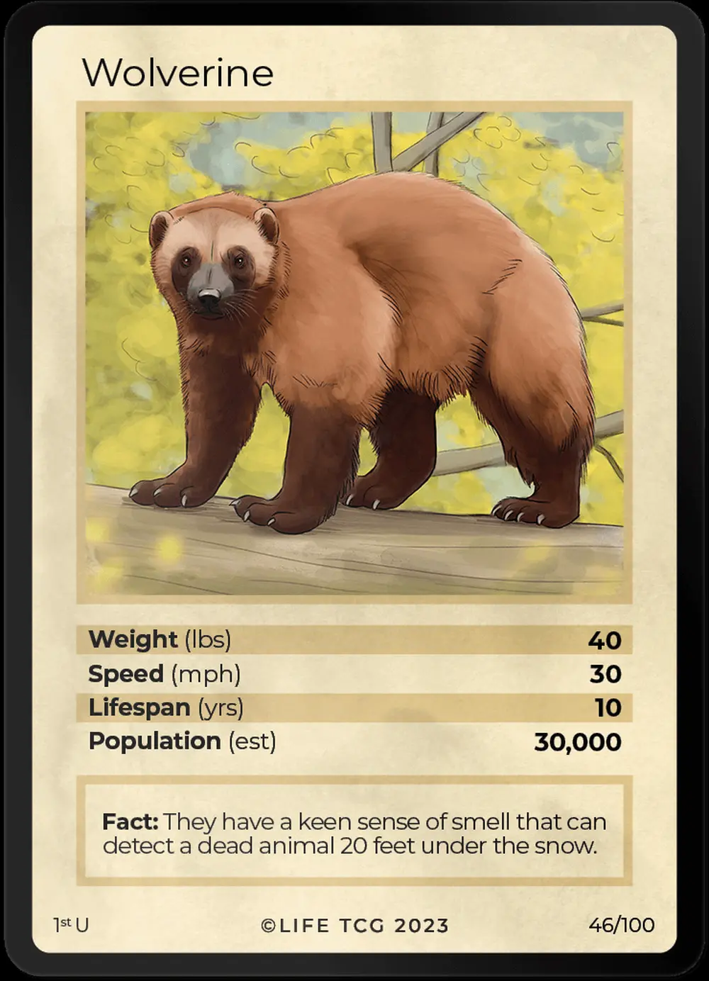 Wolverine card front