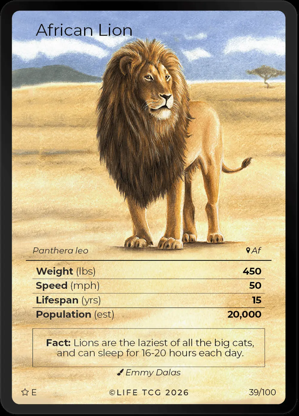 African Lion card front