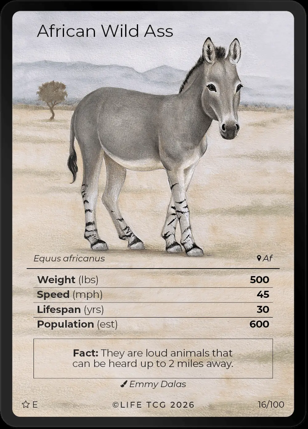 African Wild Ass card front