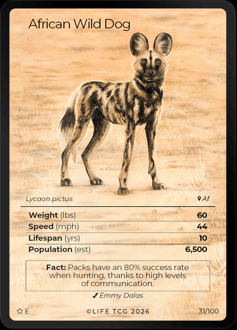 African Wild Dog card front