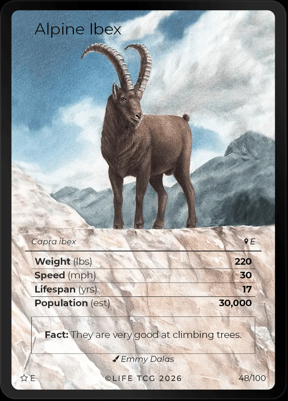 Alpine Ibex card front