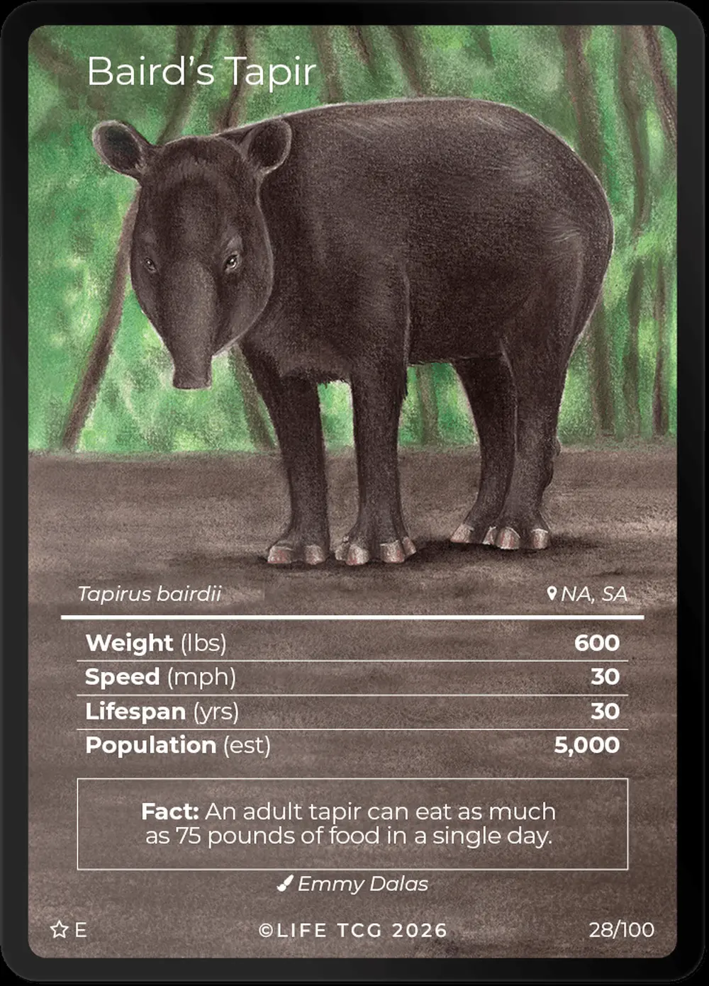 Bairds Tapir card front