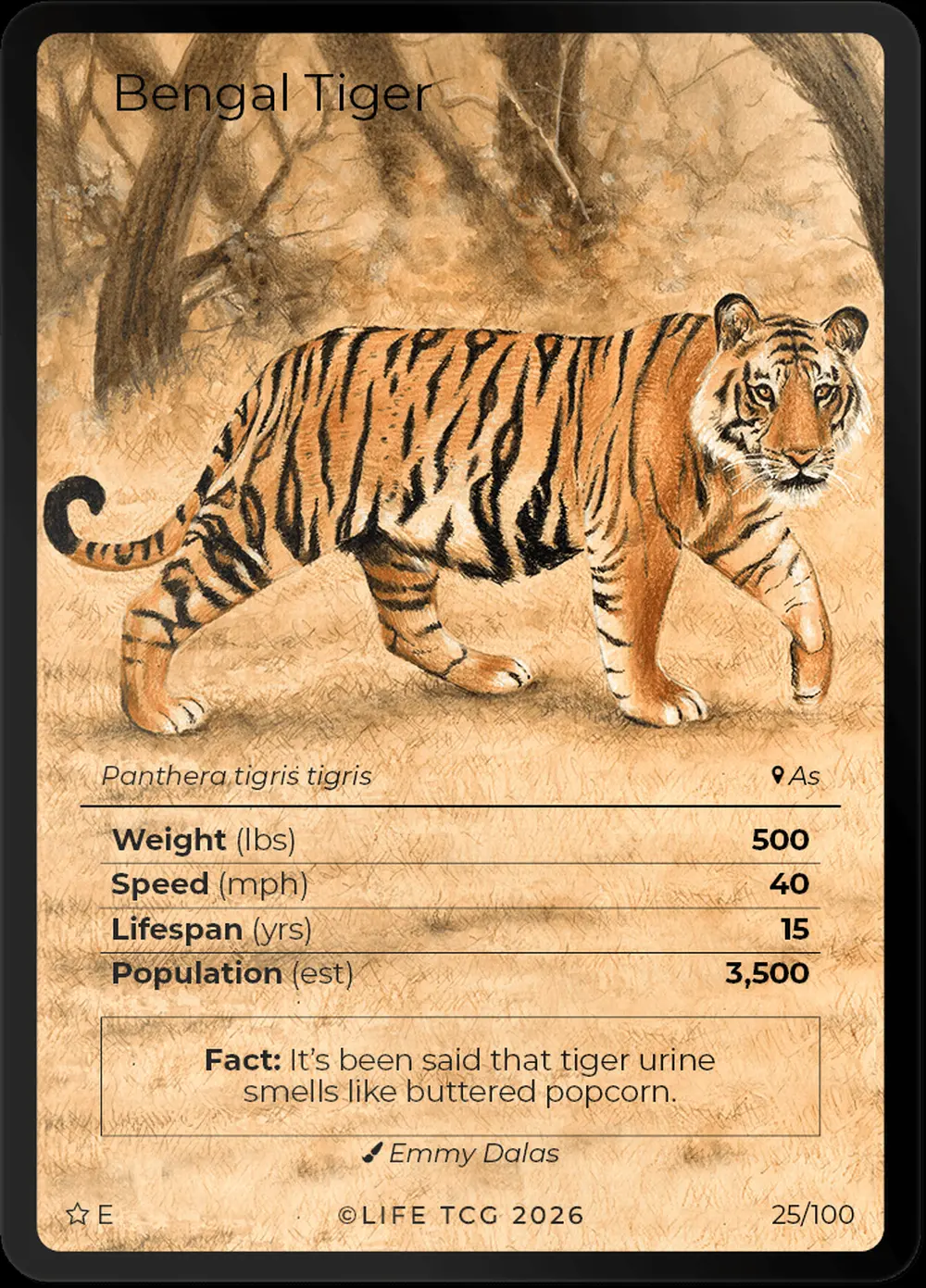Bengal Tiger card front