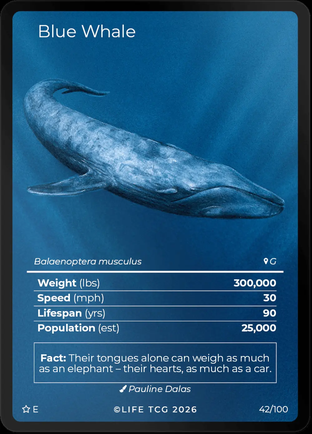 Blue Whale card front