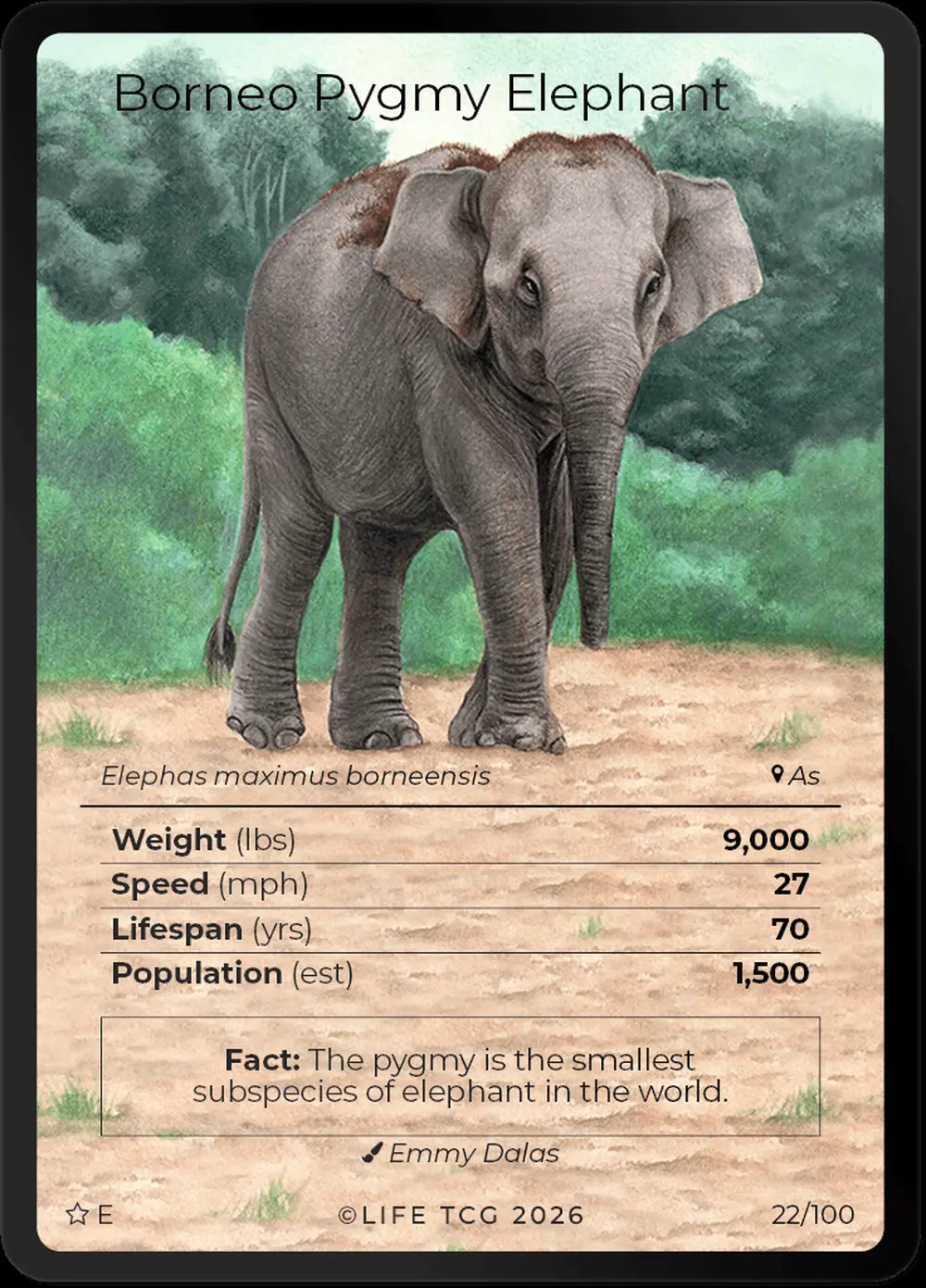 Borneo Pygmy Elephant card front