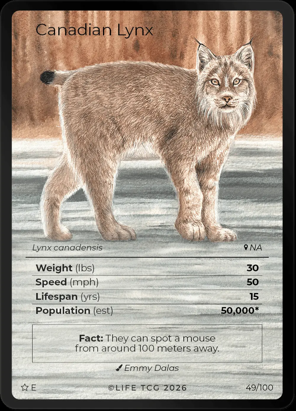 Canadian Lynx card front