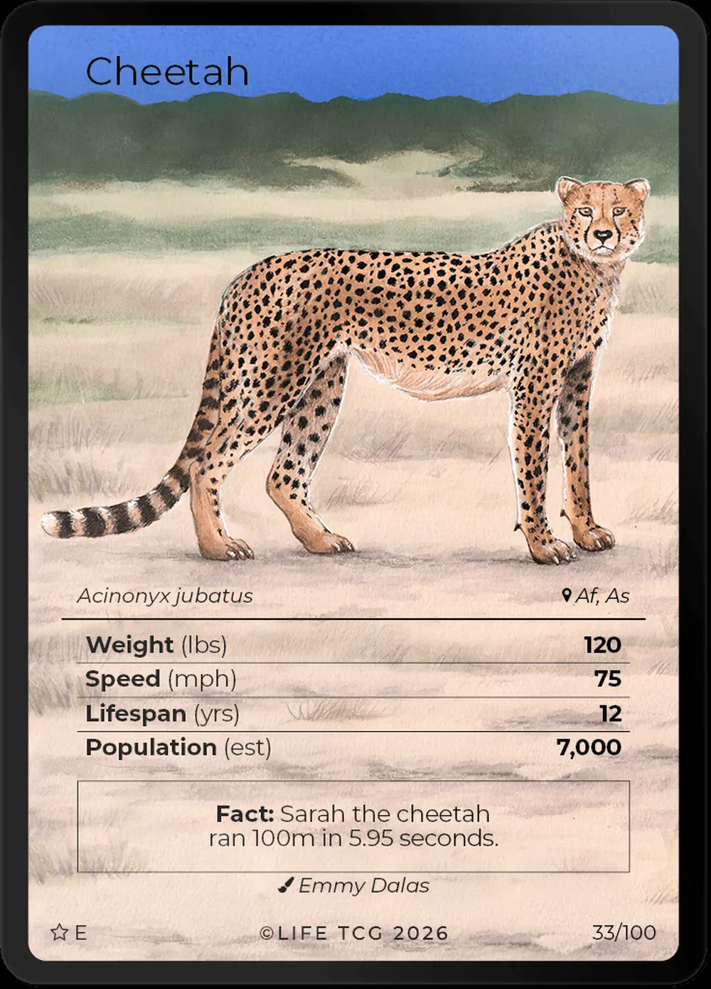 Cheetah card front