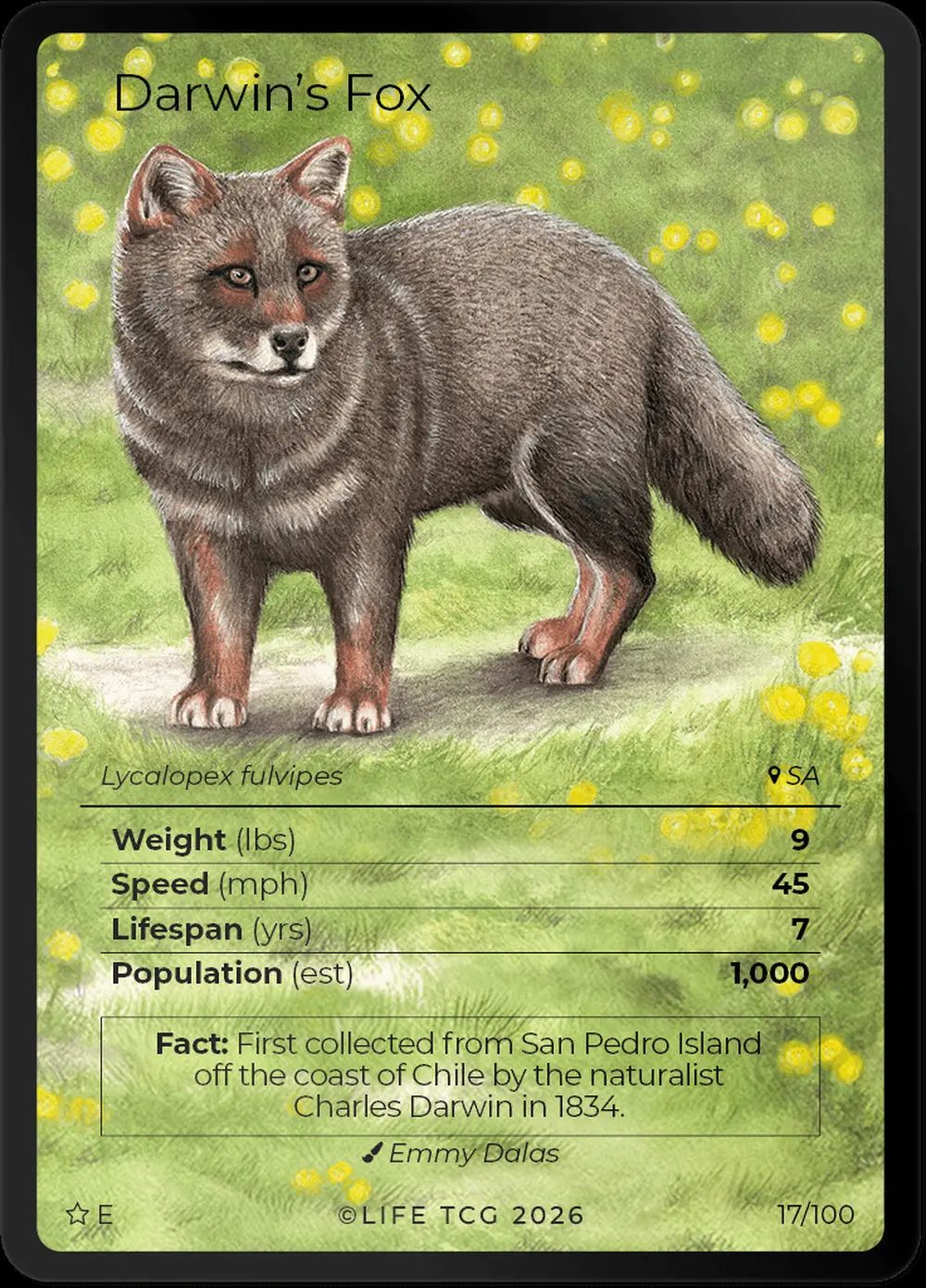 Darwins Fox card front