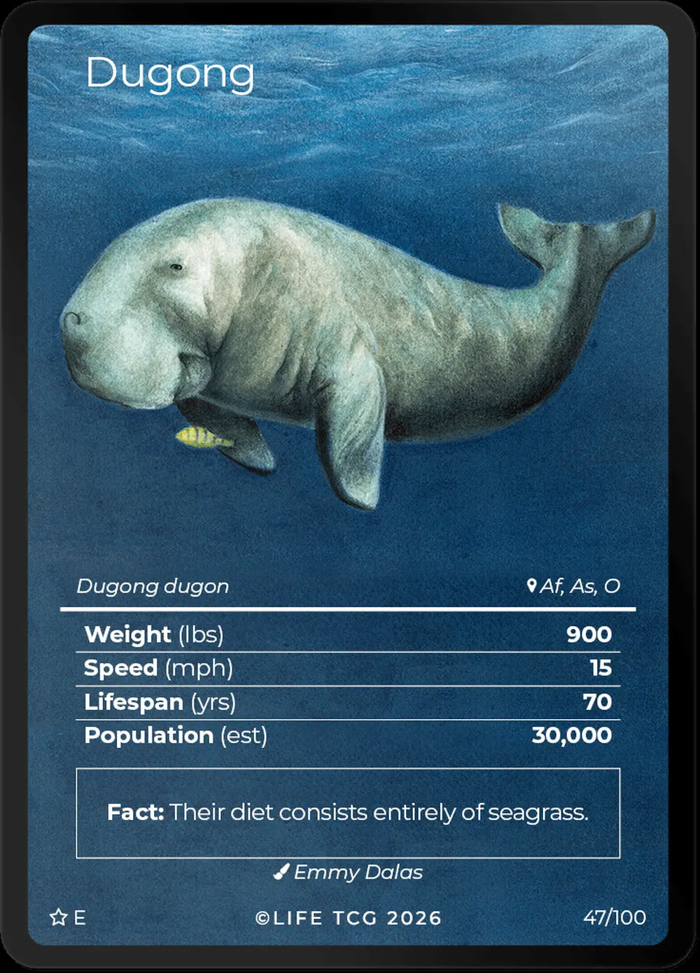 Dugong card front