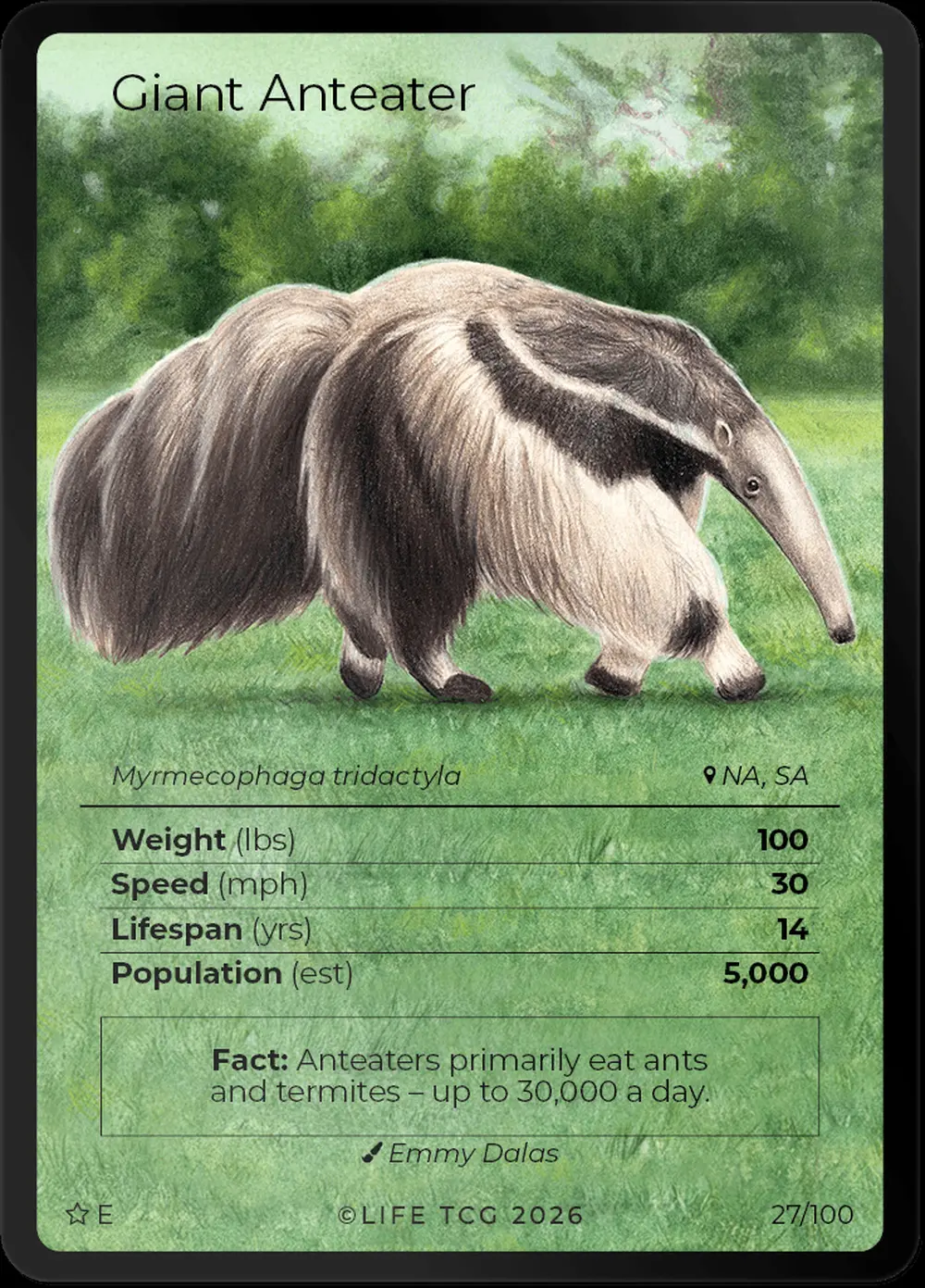 Giant Anteater card front
