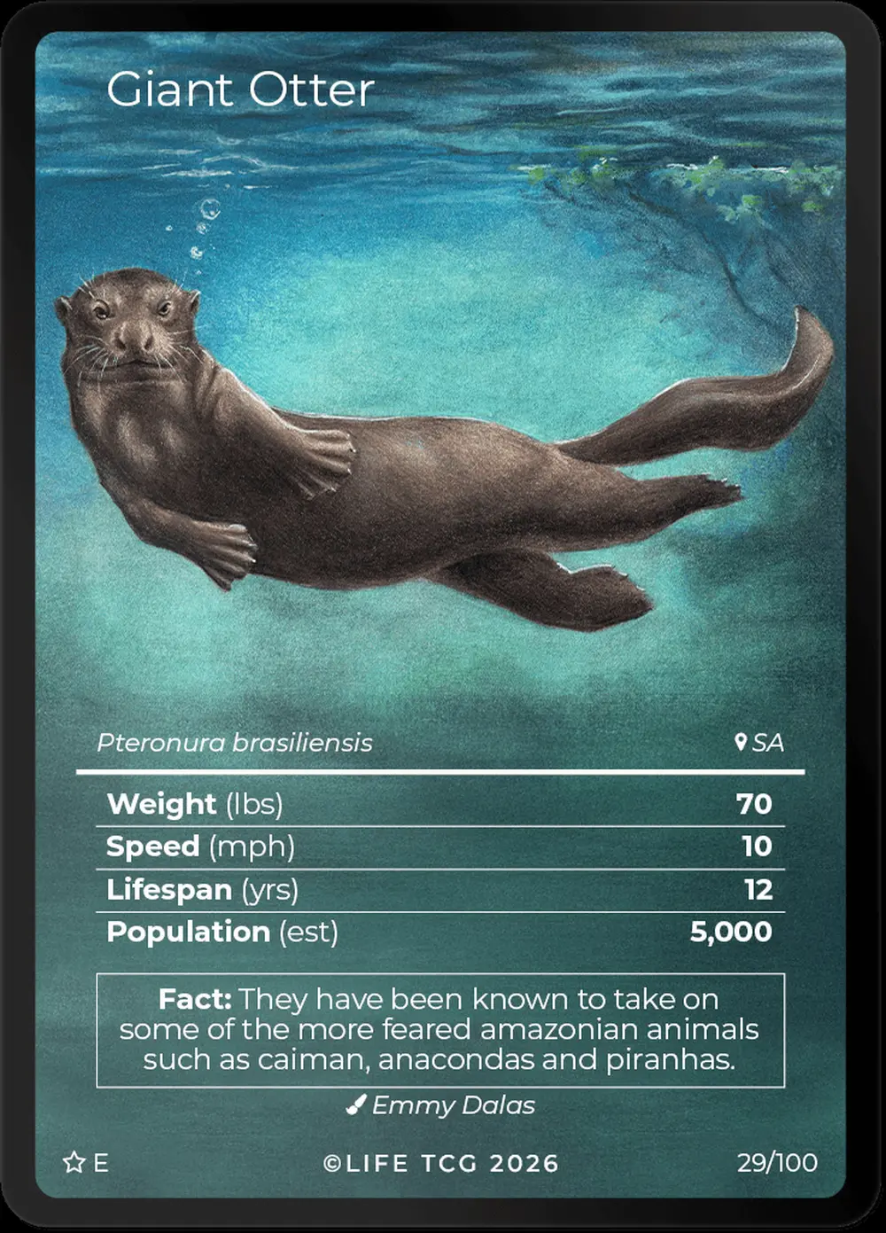 Giant Otter card front