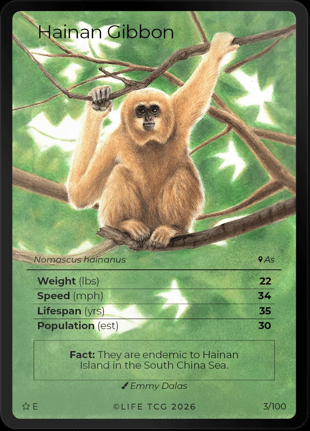 Hainan Gibbon card front